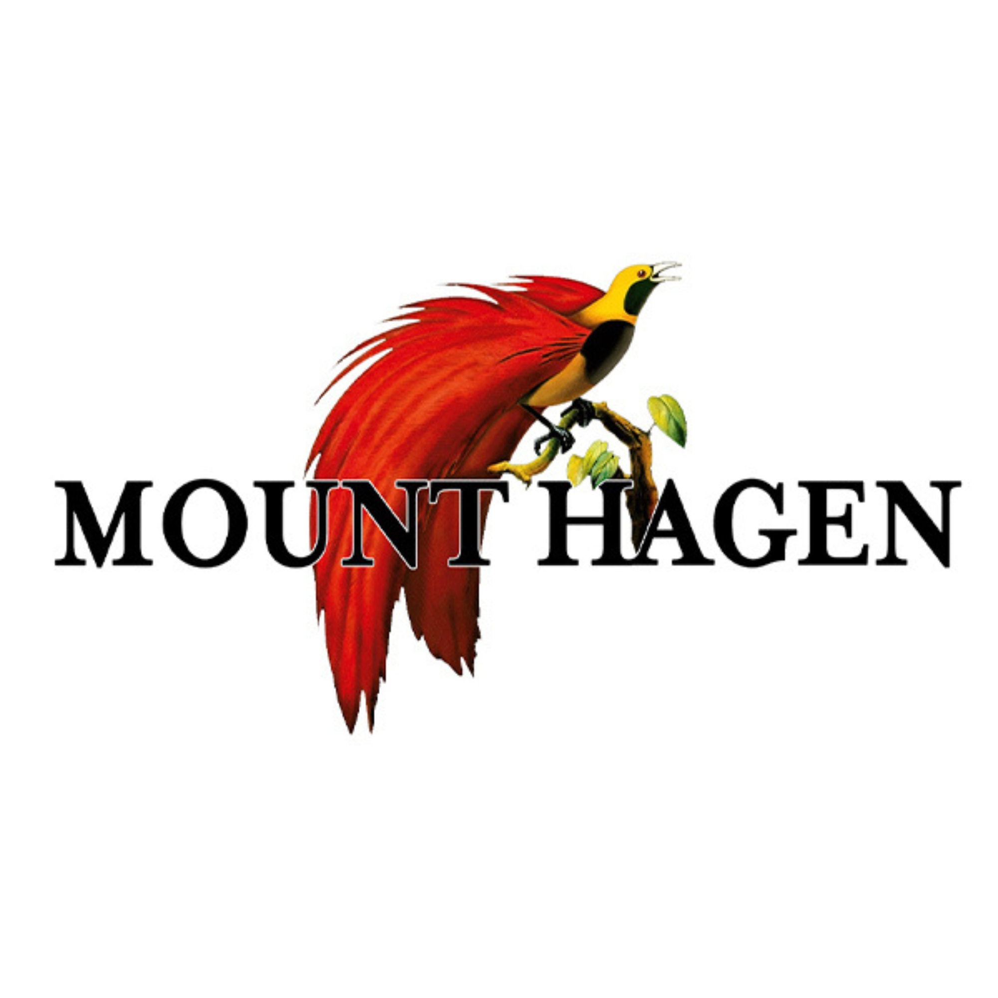 32-mount-hagen